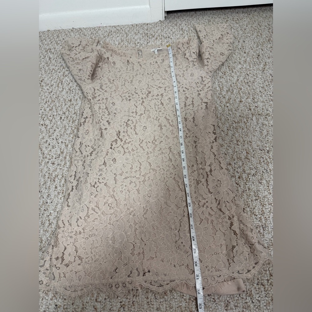 Joie Lace Top in Beige size M - Picture 5 of 8